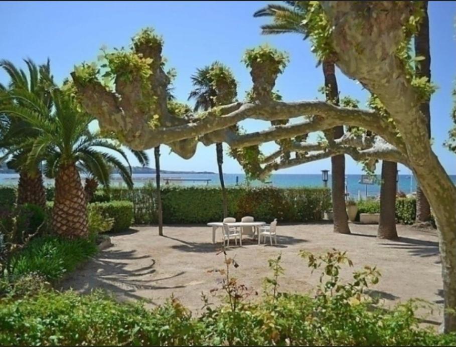L Annexe 50M De La Plage Bandol Eksteriør billede