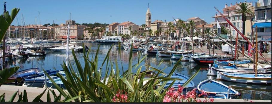 L Annexe 50M De La Plage Bandol Eksteriør billede