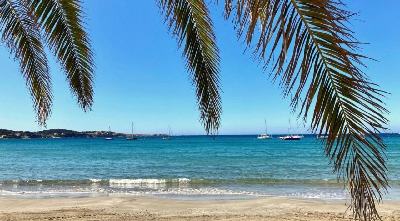 L Annexe 50M De La Plage Bandol Eksteriør billede