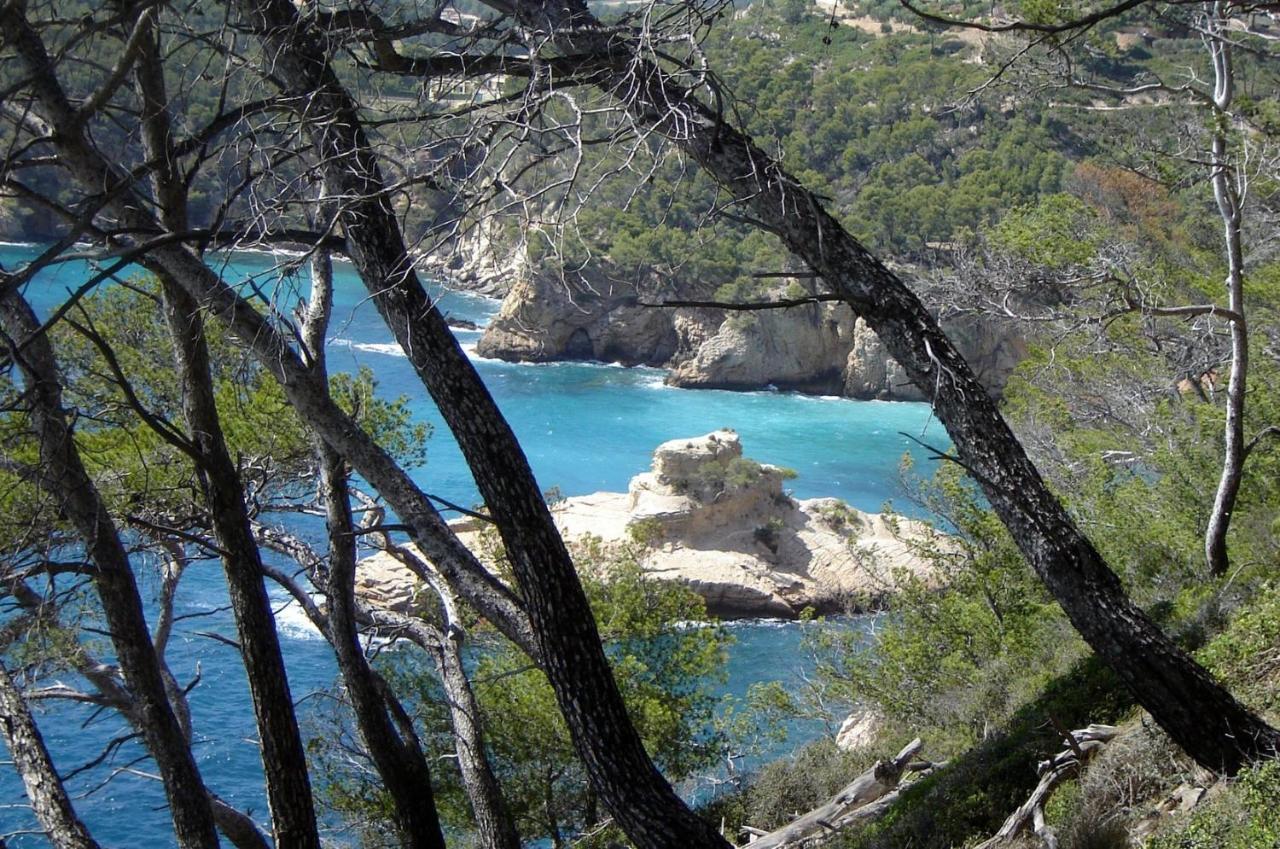 L Annexe 50M De La Plage Bandol Eksteriør billede
